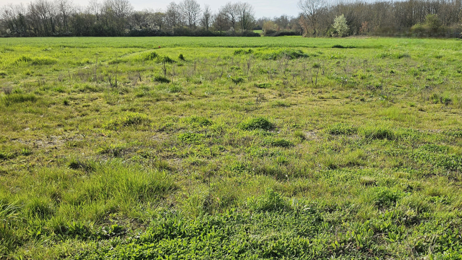 Terrain constructible de 525m2 à Azay-le-Rideau