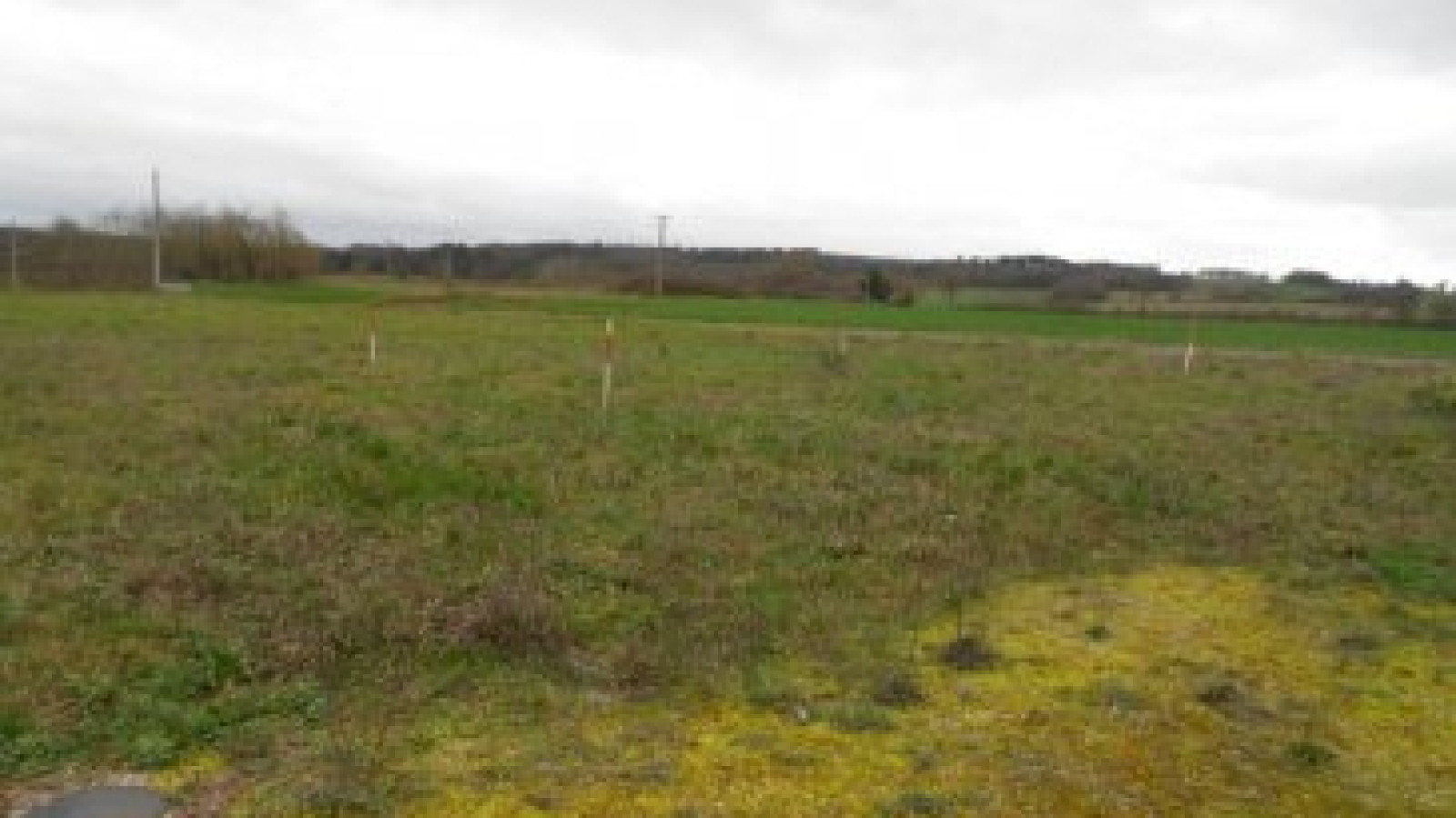 Terrain constructible de 751m2 à Vicq-sur-Gartempe