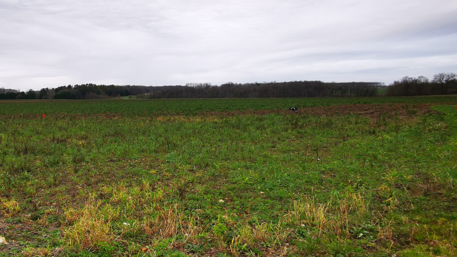 Terrain constructible de 659m2 à Tauxigny-Saint-Bauld