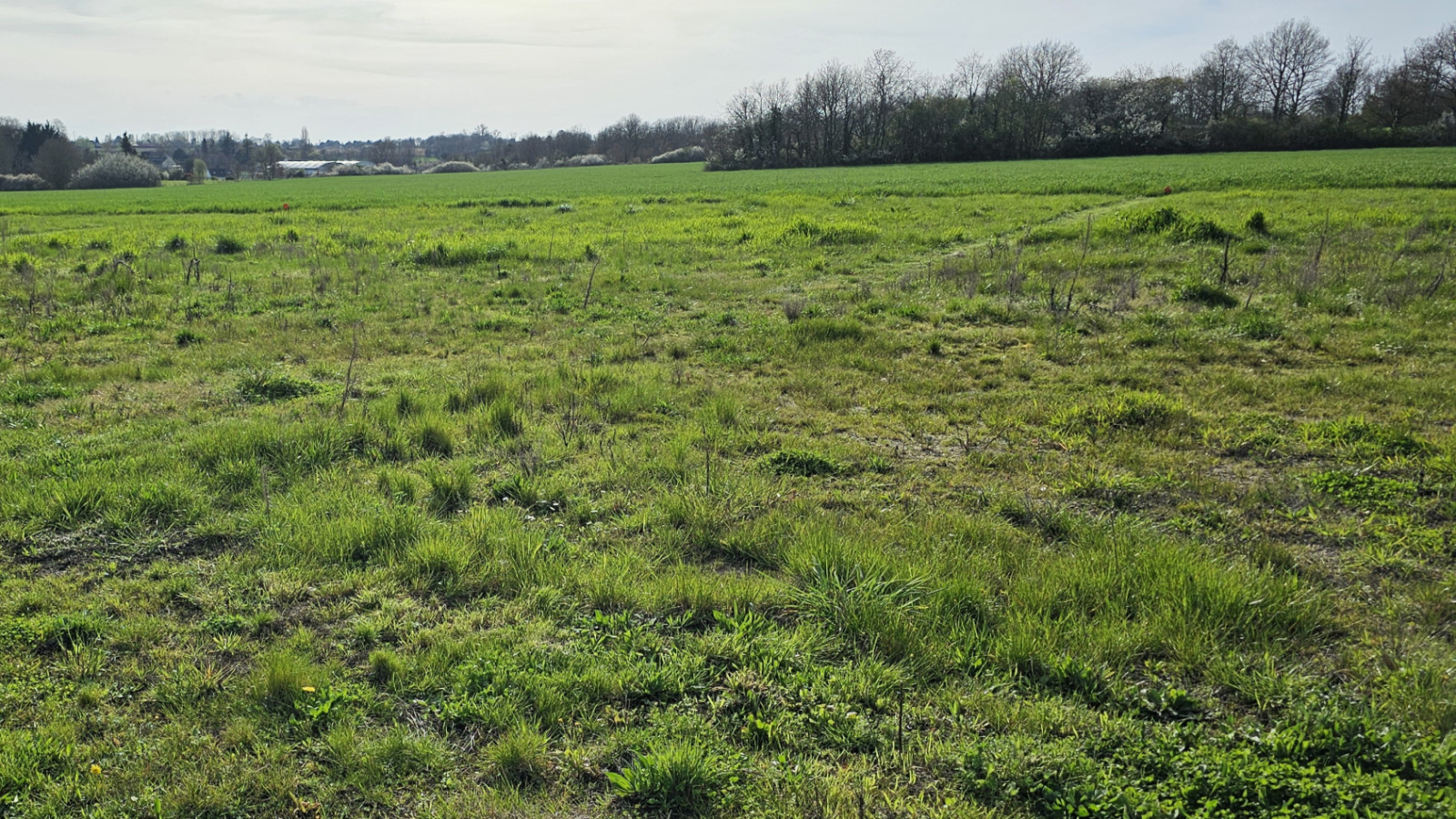 Terrain constructible de 465m2 à Sainte-Maure-de-Touraine