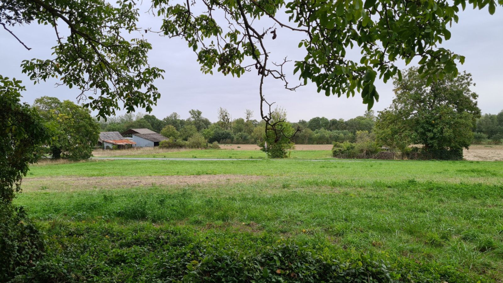 Terrain constructible de 1974m2 à Panzoult