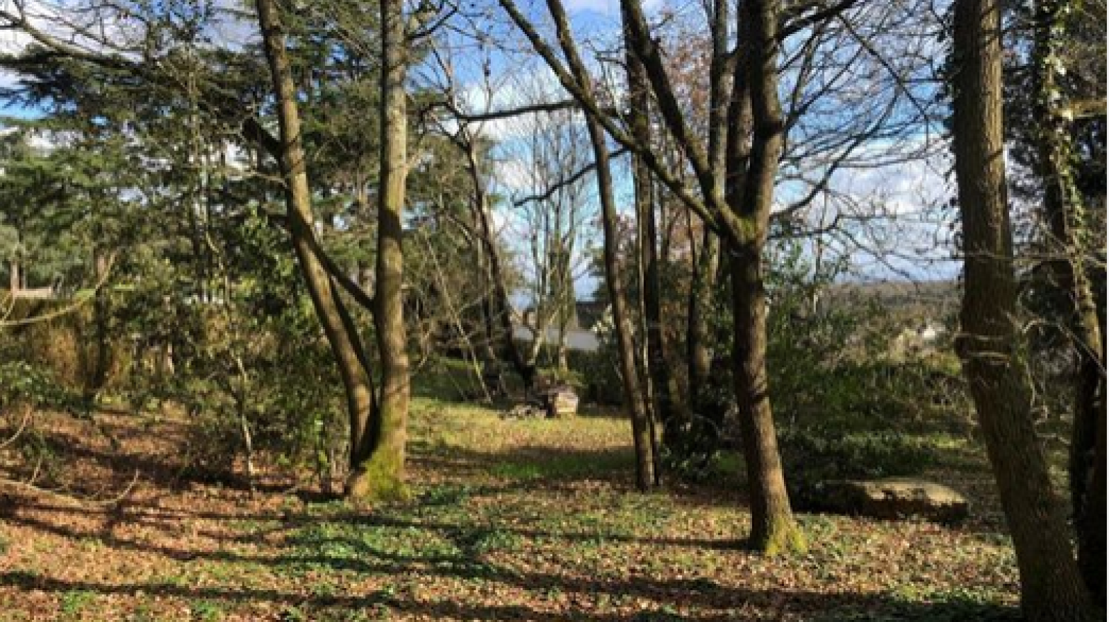 Terrain constructible de 423m2 à Saumur