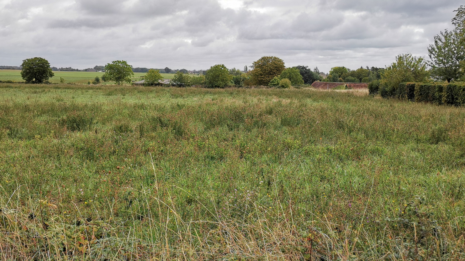 Terrain constructible de 1238m2 à Cigogné