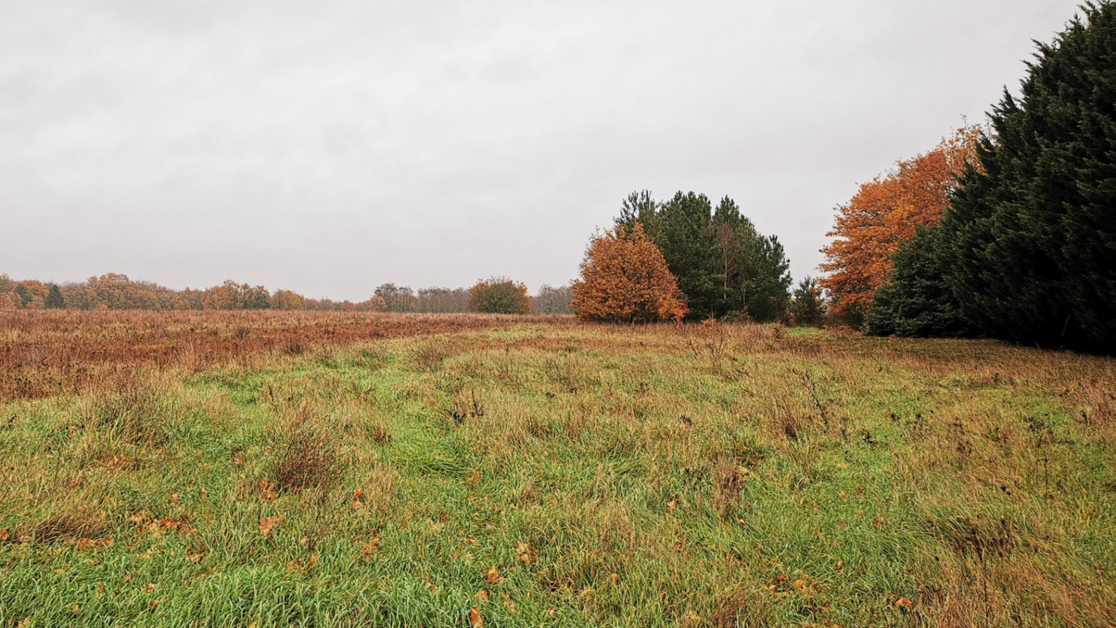 Terrain constructible de 450m2 à Loches