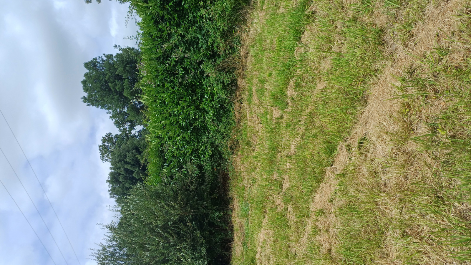 Terrain constructible de 775m2 à Cholet