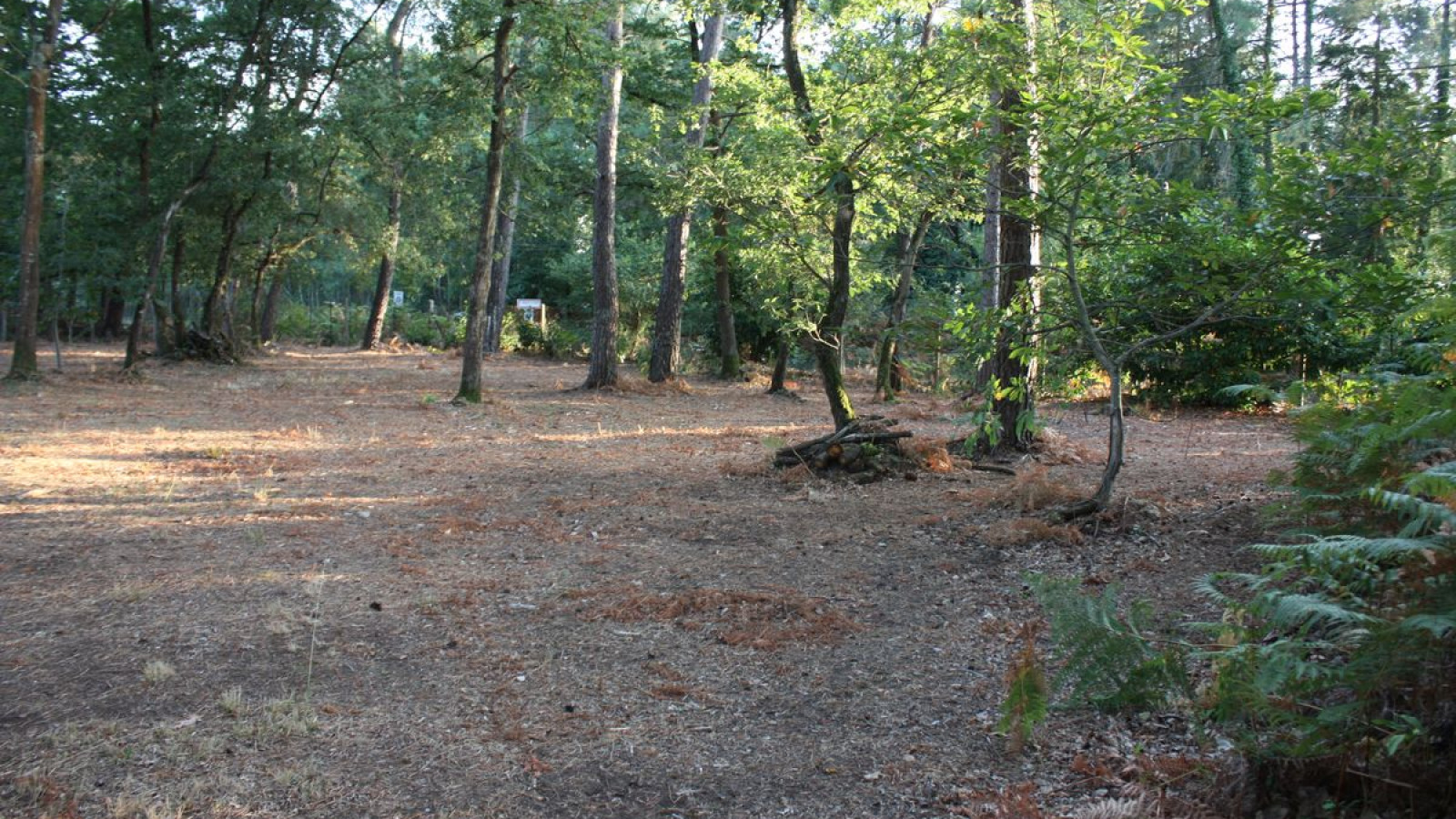 Terrain constructible de 1200m2 à Saint-Benoît-la-Forêt