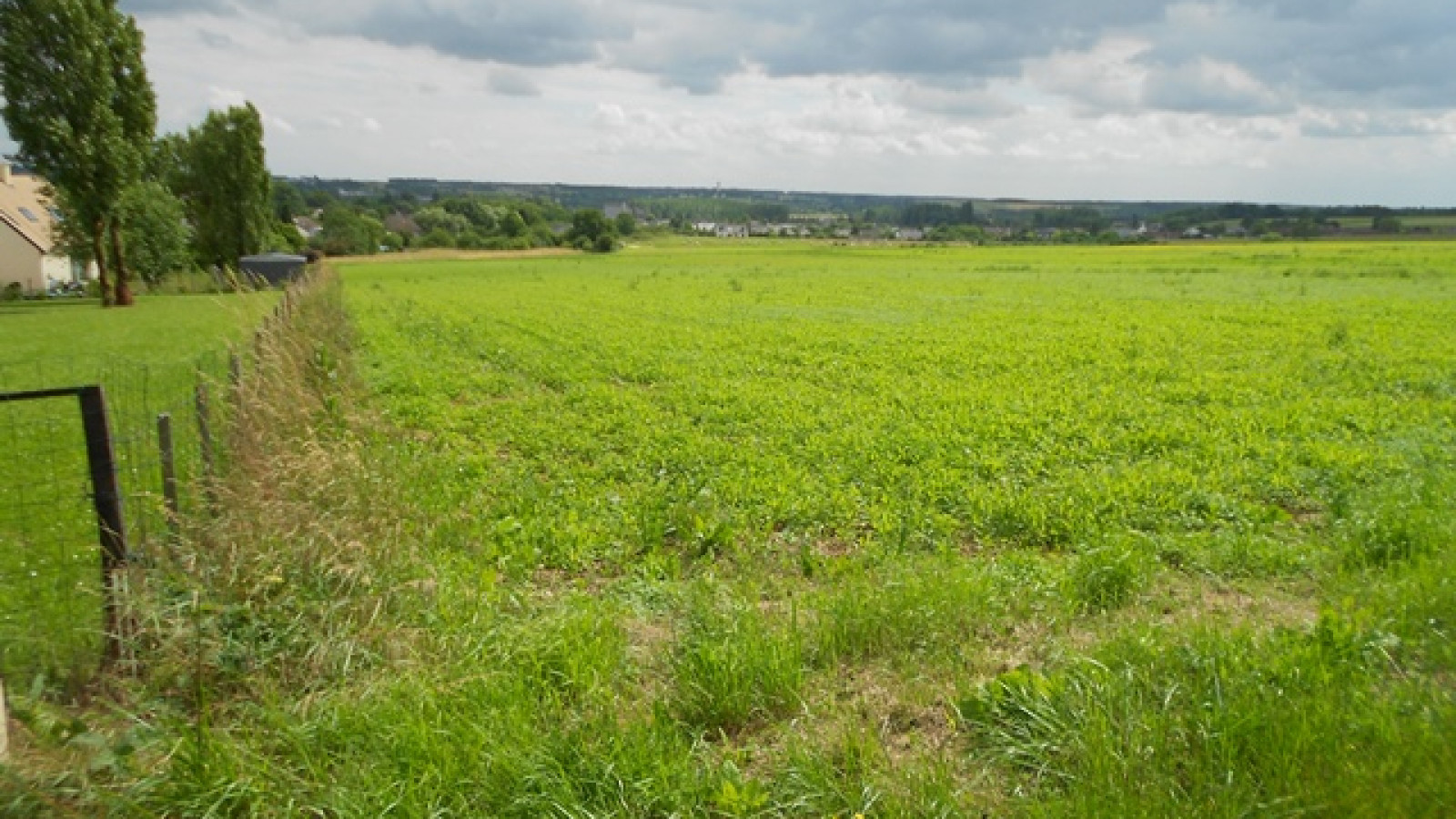 Terrain constructible de 542m2 à Chançay