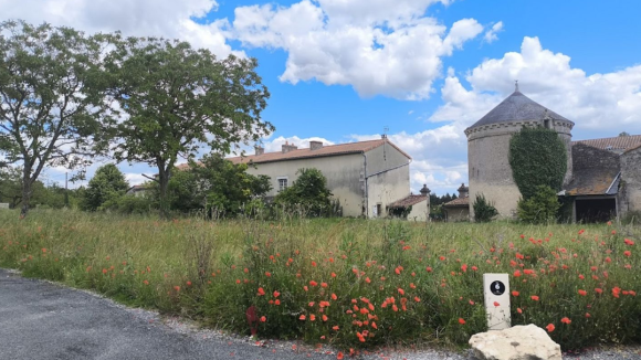 poitou terrains Migné.png