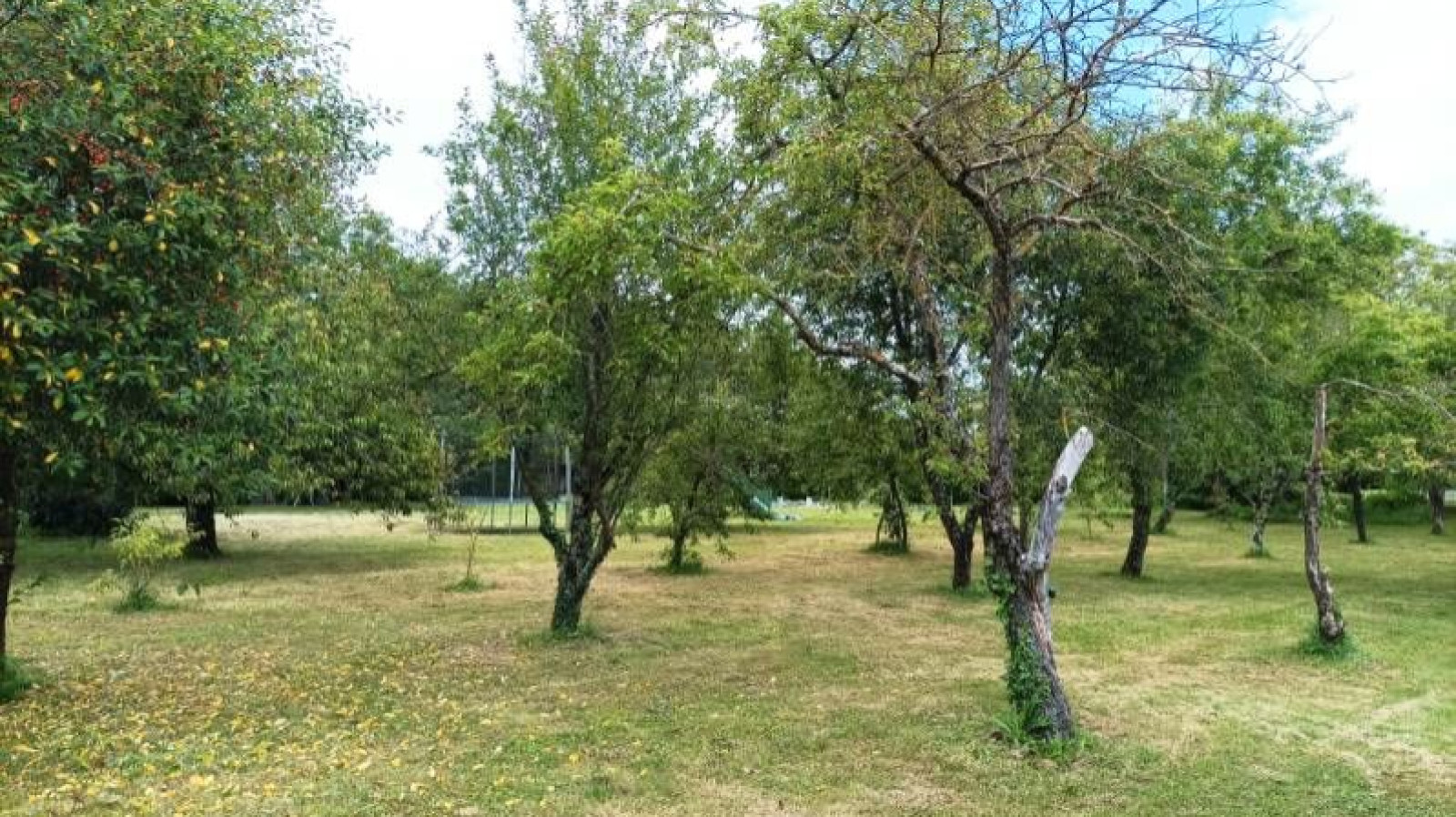 Terrain constructible de 850m2 à Bonneuil-Matours